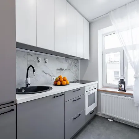 Bruninieku Street Apartment Riga