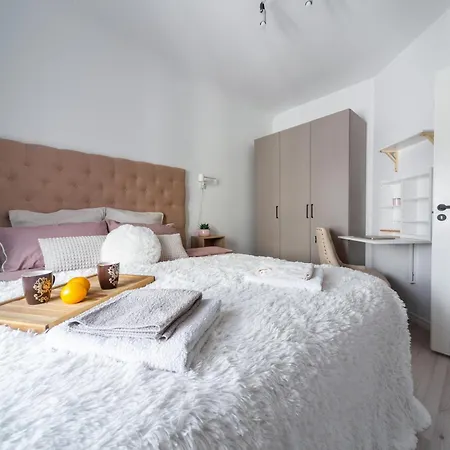 Bruninieku Street Apartment Riga